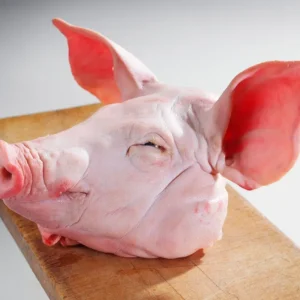 Pork Head