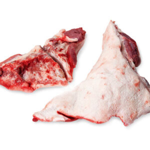 Top Chicken Feet Suppliers in Turkey | Bulk Export