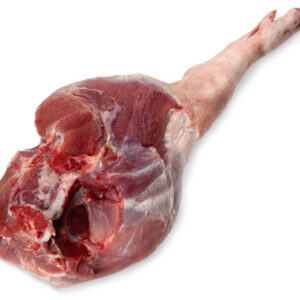 Pork Leg Where to Buy | Wholesale Pork Feet Supplier