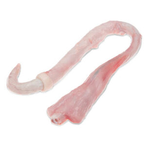Specialty Pork for Sale Online | Bulk Wholesale Supplier