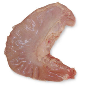 Pork Belly Wholesale Distributor & Stomach Supplier
