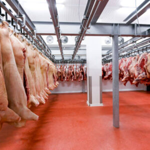 Buy Pork Online Singapore | Fresh Premium Pork Delivery Easy & Fast