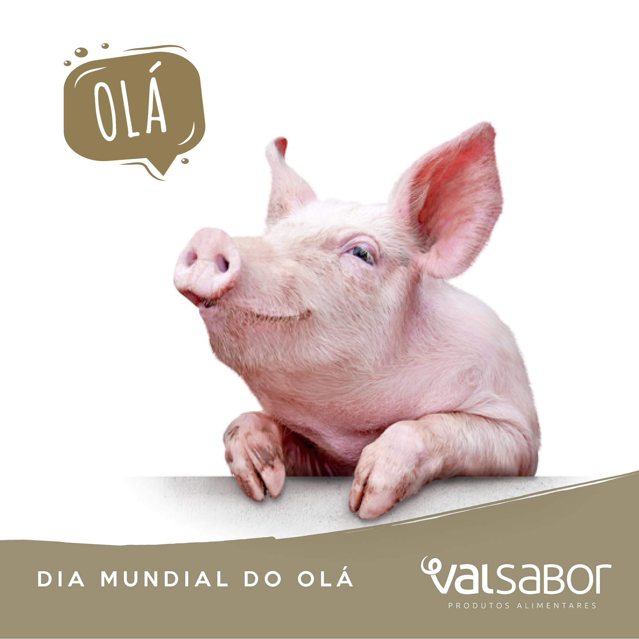 VALSABOR, S.A.