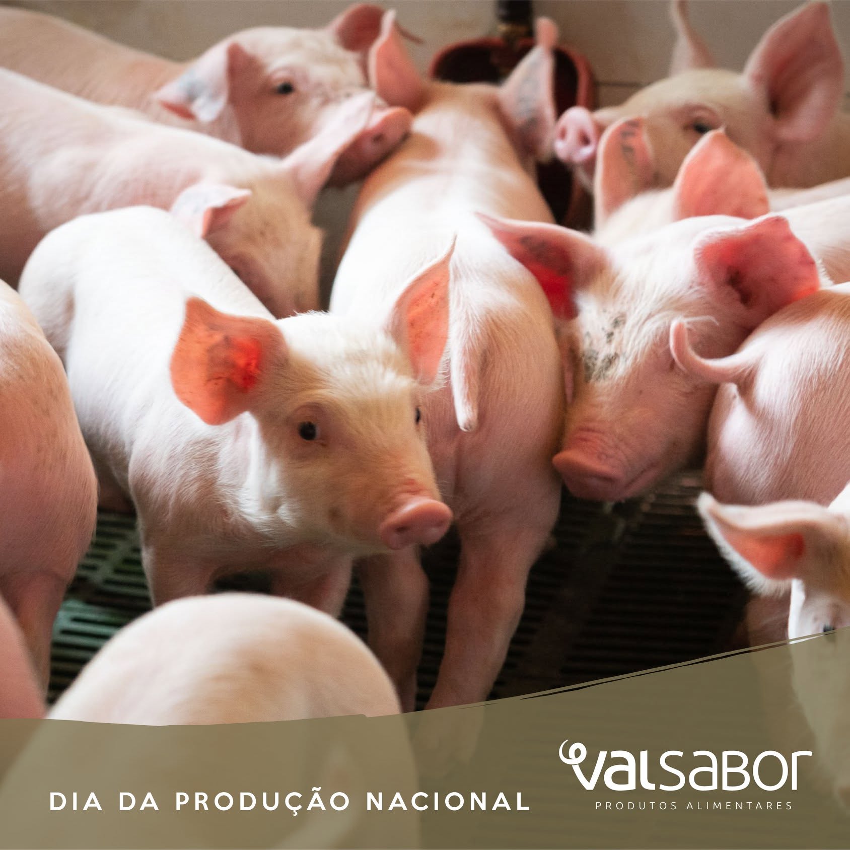 VALSABOR, S.A.