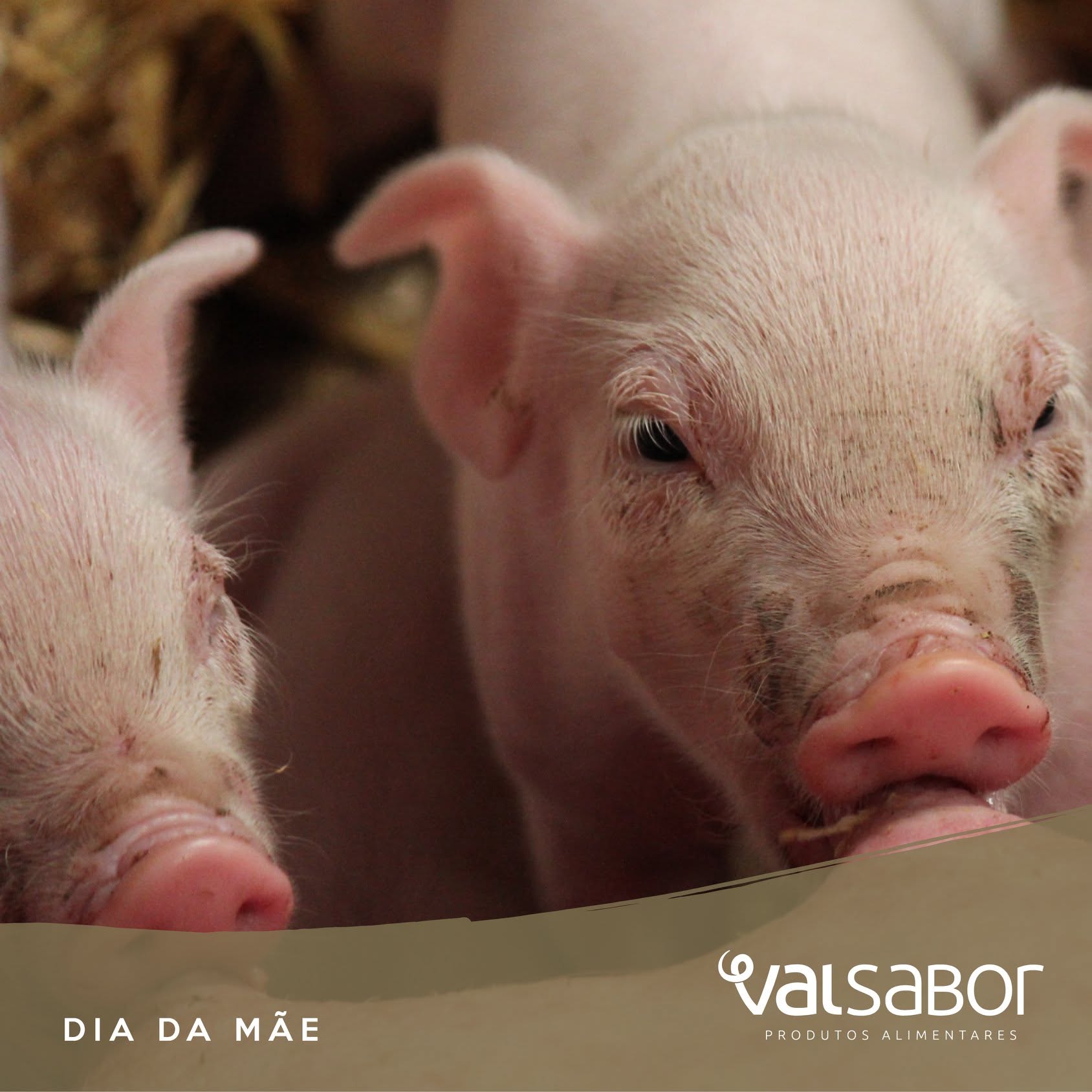 VALSABOR, S.A.